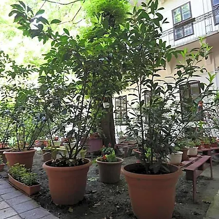 Amber Gardenview Downtown 布达佩斯